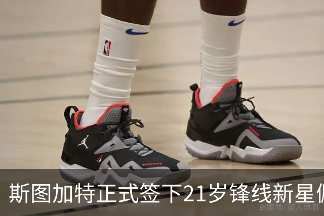 斯图加特正式签下21岁锋线新星佩伊契诺维奇，合约至2031年